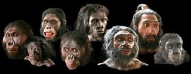 25. homosapiens