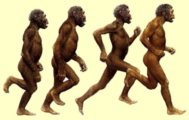 Hace 20 millones de años