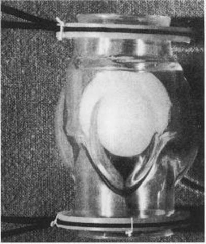 Prótesis de Hufnagel