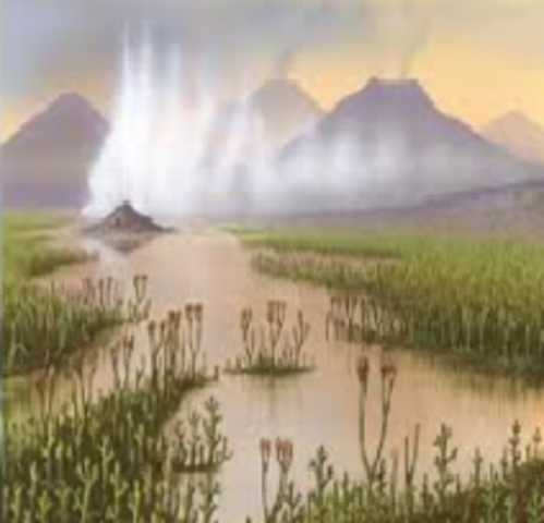 SE CREA OXIGENO, MAREAS Y HURACANES