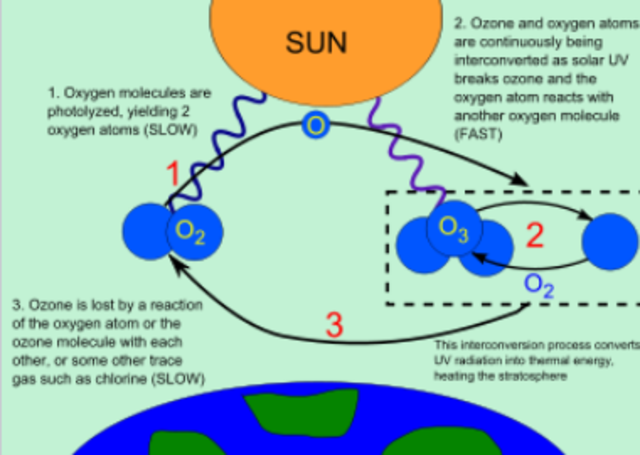 SE CREA LA CAPA DE OZONO