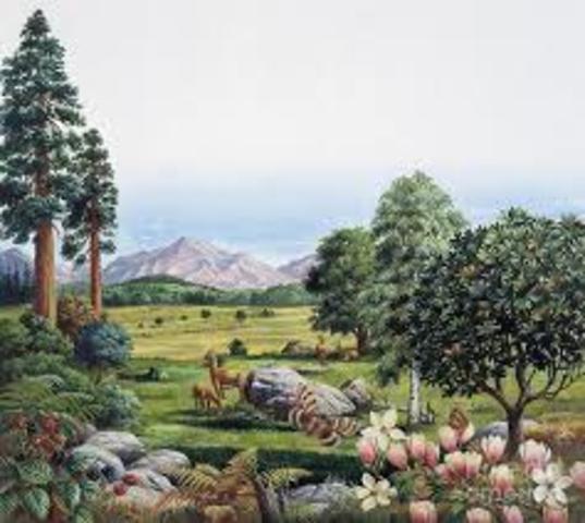 Cenozoic flora