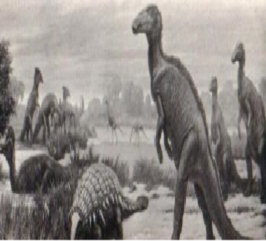 EXTINSION DE ANIMALES MARINOS