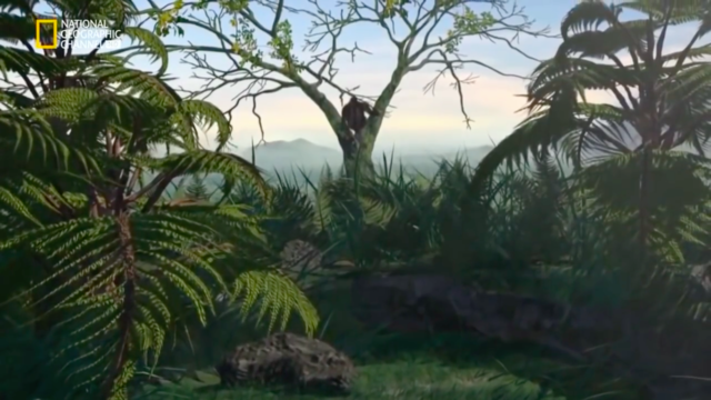 Evolución a los humanos