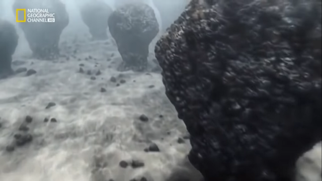 Pequeños seres creadores