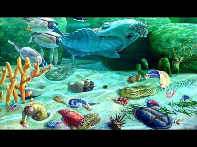 Explosión Cámbrica