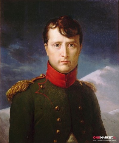 Napoleón, cónsul vitalicio