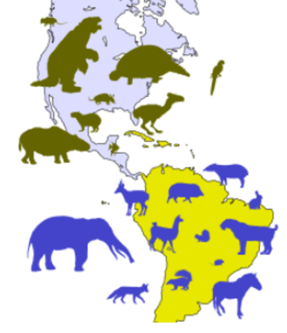LA MAYOR MIGRACION EN EL INICIO DE LA TIERRA