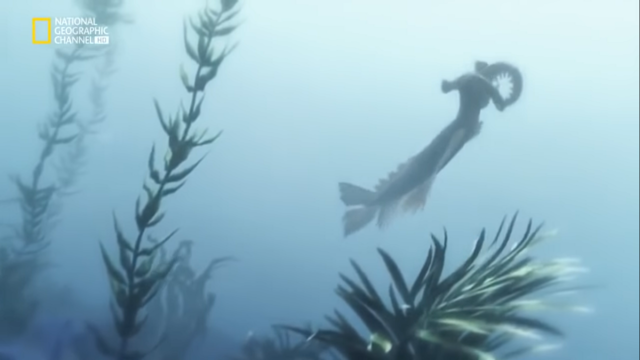 Desperdicios que generan vida