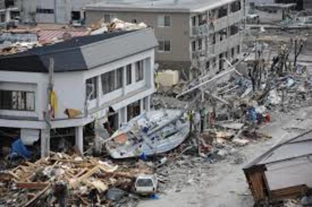Tohoku Earthquake (Japan)