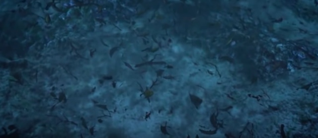 Reserva de petróleo