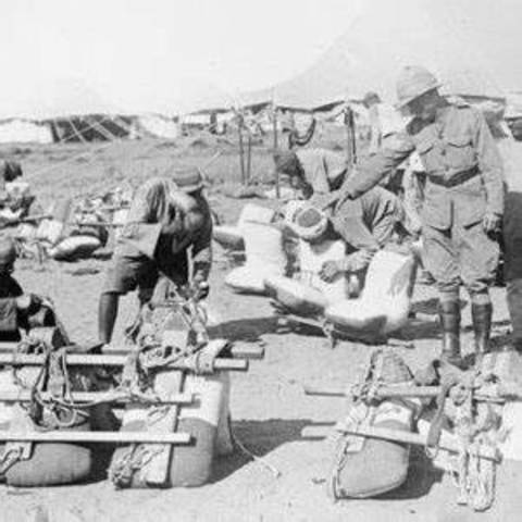 Campaña del Sinaí.