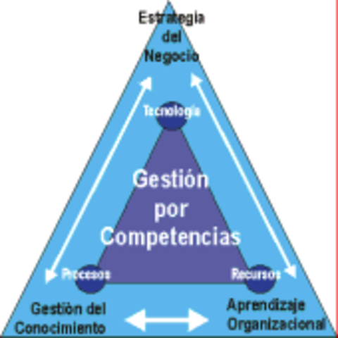 Modelo de gestión holística por competencia.