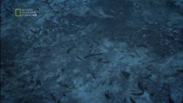 ¡Encontramos Petroleo!