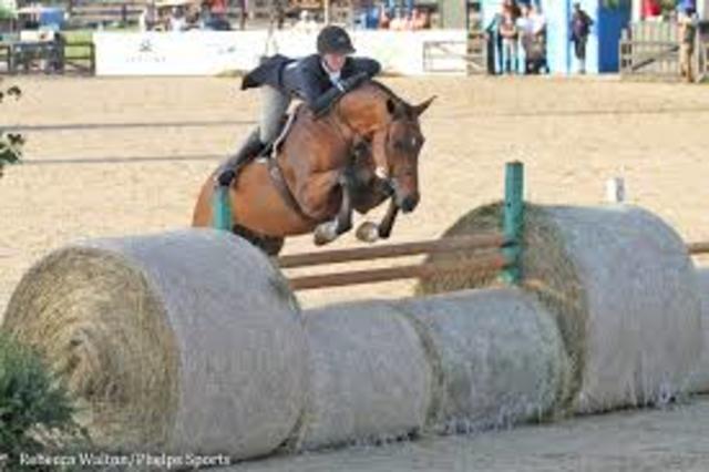 First Devon Horse Show
