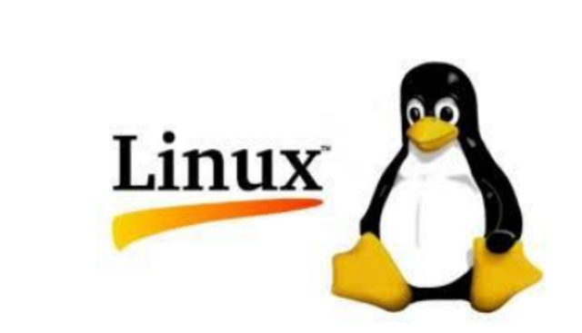 1991: Surge o Linux, baseado no Unix; MPEG faz o JPEG “mexer-se”.