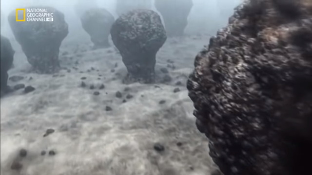 Llegada de los estromatolitos