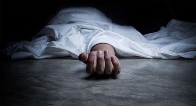 Organización Panamericana de Salud