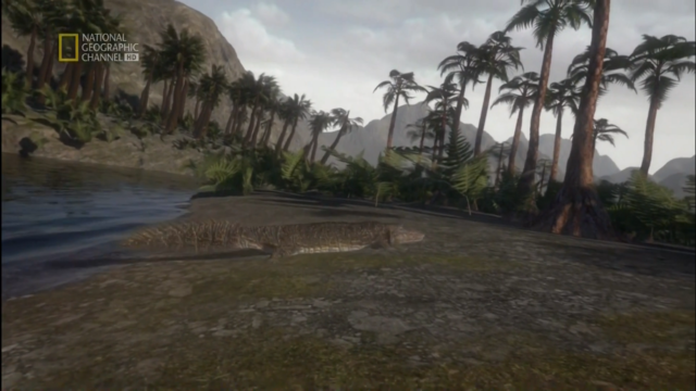 Primeros pasos a tierra