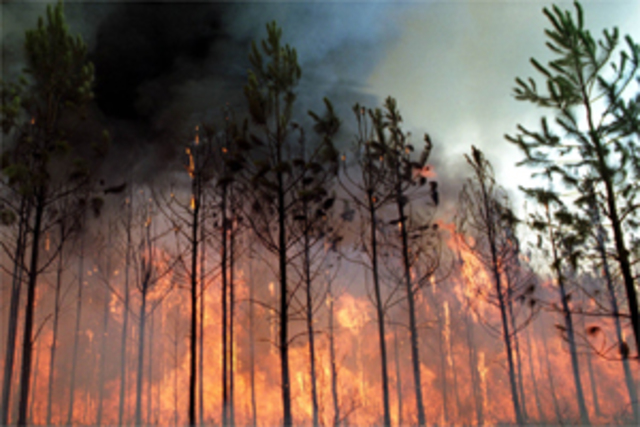 La vida conlleva a la muerte