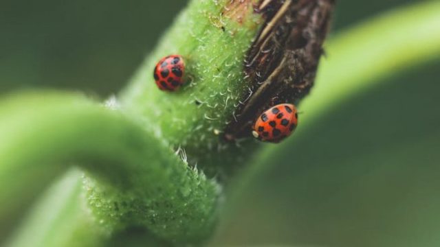 Todavía hay una esperanza