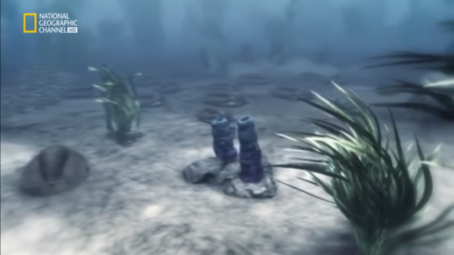 Nacen nuevas especies