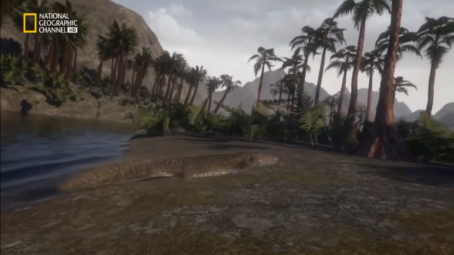 Vida afuera del agua