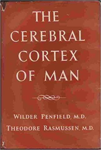 The Cerebral Cortex of Man