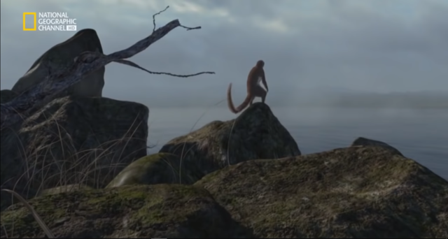 Evolución de los mamíferos