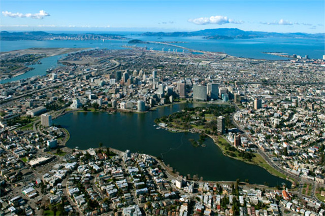 the earth drangon awake