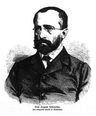 AUGUST SCHLEICHER