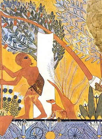 Nascita prime città in Egitto