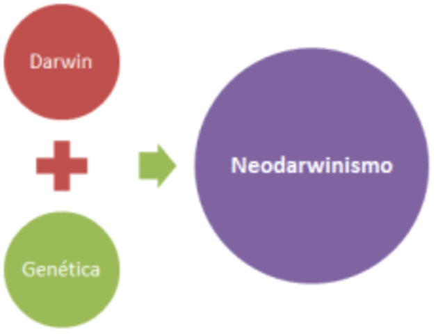 Neodarwinismo.
