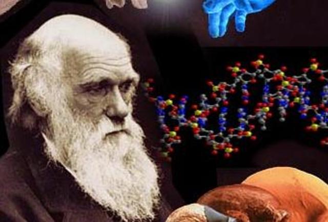 Neodarwinismo (1920-1930)