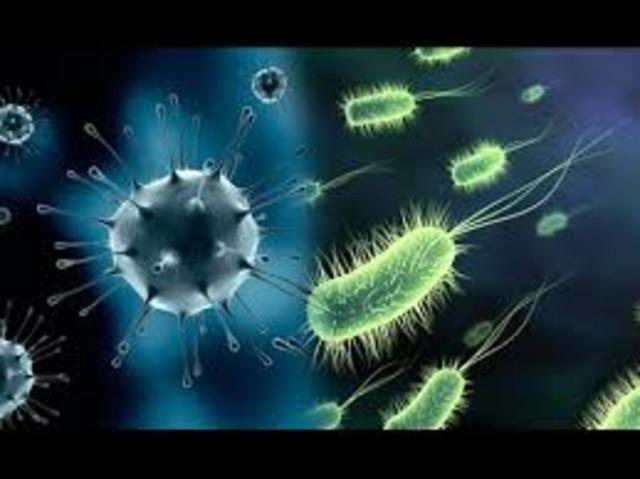 Origen del sistema Nervioso