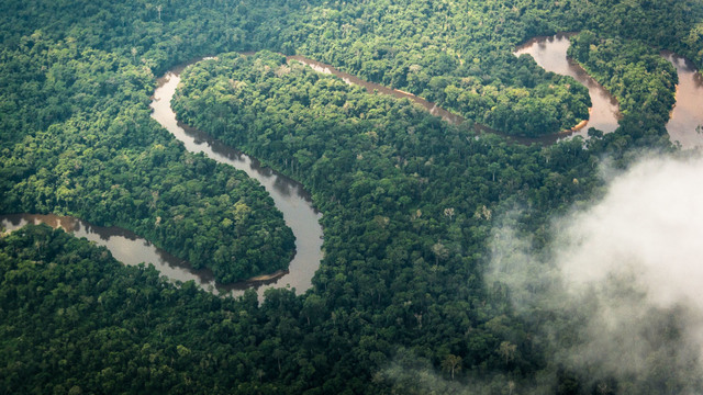 Portuguese' discovery of Congo River