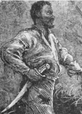 a uprising in the south