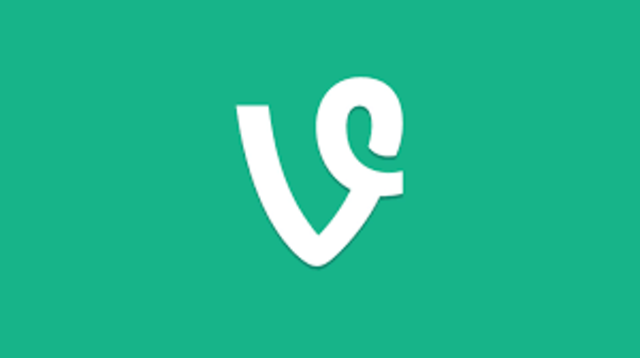 Vine