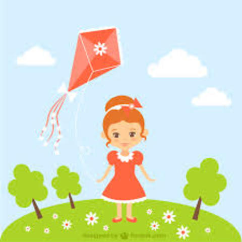 dia de las cometas N3