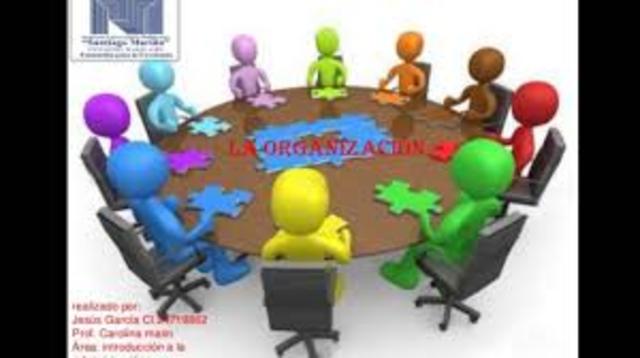 Teoria de la  organización