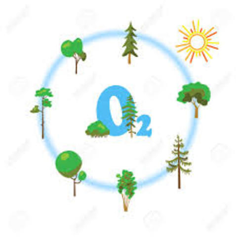 descubrimiento del oxigeno