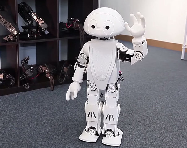 Robot of the 21st century