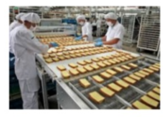 se crea el complejo industrial ramo