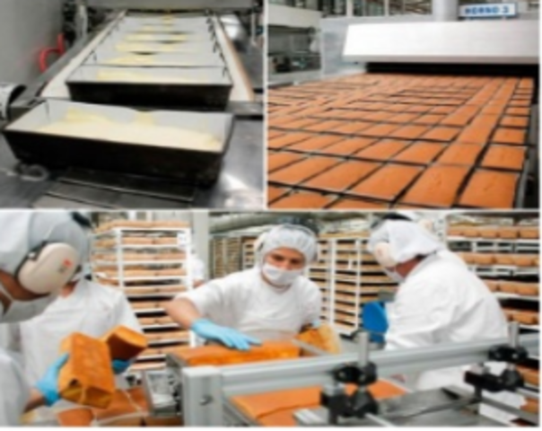 diversidad de plantas