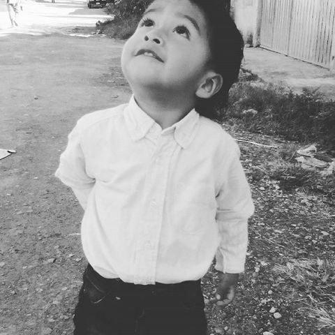 ME ARREBATARON MI FELICIDAD