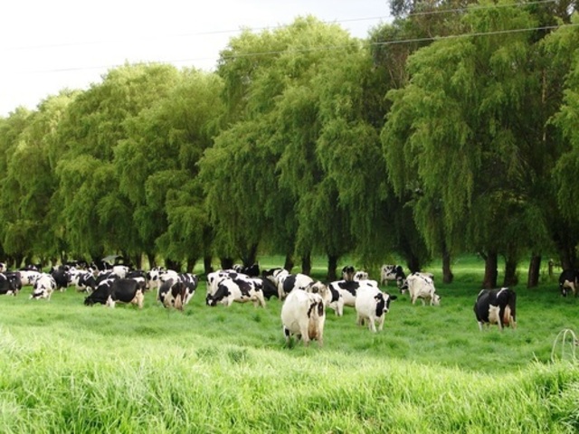 Asegurando el futuro
