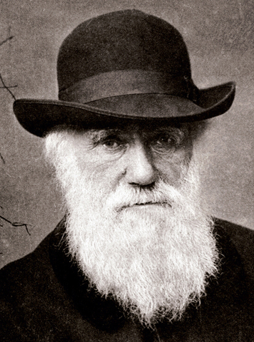 Charles Robert Darwin