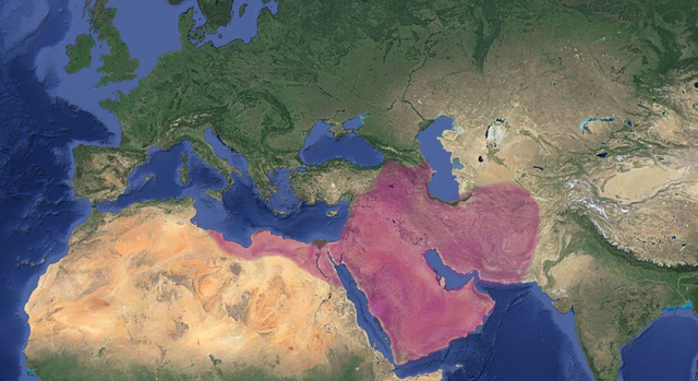 El califato ortodoxo