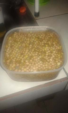 Preparacion de hormona natural de germinado de lentejas.En esto se coloco media libra de lenteja en medio litro de agua para que tengan humedad y empiezen a germinar.
