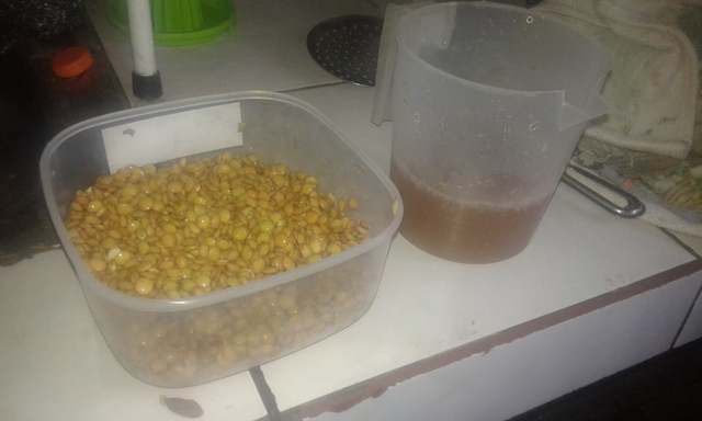 Retirar el agua que se coloco en las semillas y esperar que germinen.